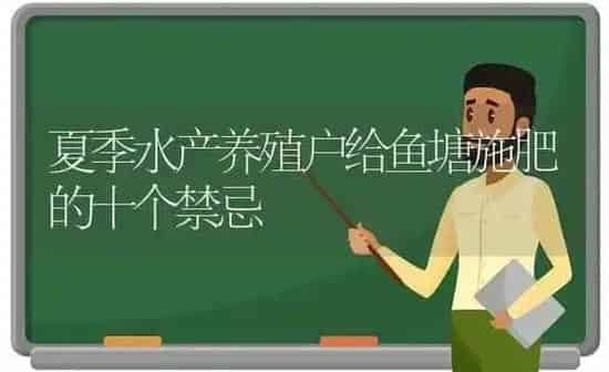 夏季水产养殖户给鱼塘施肥的十个禁忌 | 动物养殖百科