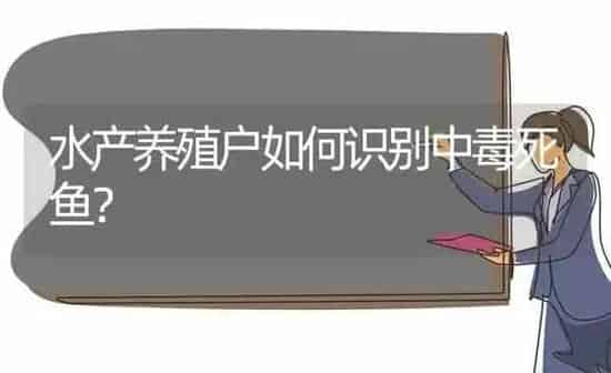 水产养殖户如何识别中毒死鱼? | 动物养殖百科