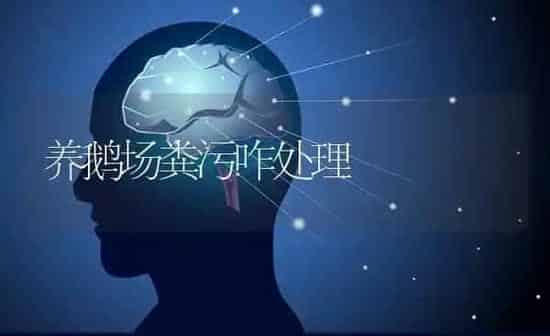 养鹅场粪污咋处理 | 家禽养殖