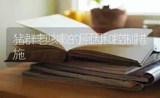 买优良种兔七注意 | 家畜养殖