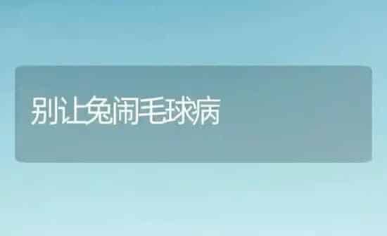 别让兔闹毛球病 | 家畜养殖