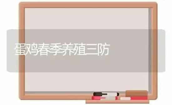 蛋鸡春季养殖三防 | 家禽养殖