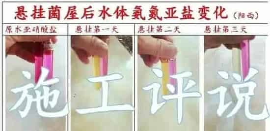 养殖水体常见有那些生物化学反应之沉淀反应和水质的关系