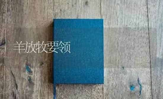羊放牧要领 | 家畜养殖