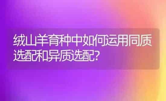 绒山羊育种中如何运用同质选配和异质选配？ | 家畜养殖