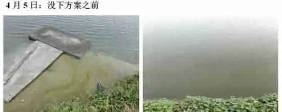 池塘倒藻后用“101+藻源素”快速肥水效果好