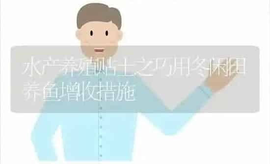 水产养殖贴士之巧用冬闲田养鱼增收措施 | 动物养殖百科