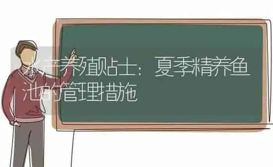 水产养殖贴士：夏季精养鱼池的管理措施 | 动物养殖百科