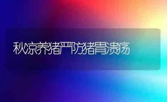 秋凉养猪严防猪胃溃疡 | 家畜养殖