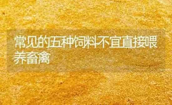 常见的五种饲料不宜直接喂养畜禽 | 动物养殖饲料