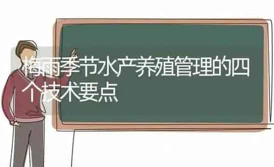 梅雨季节水产养殖管理的四个技术要点 | 动物养殖百科