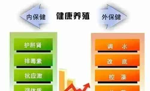 详解武汉华扬“内保健”+“外保健”水产养殖模式