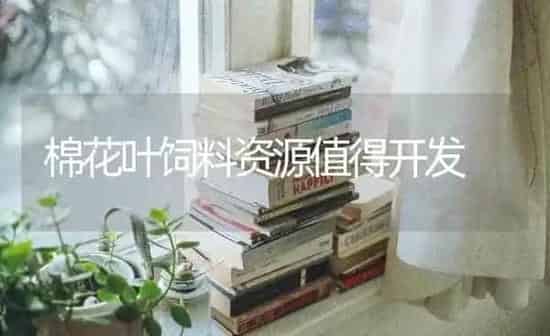 棉花叶饲料资源值得开发 | 动物养殖饲料