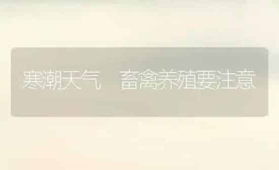 寒潮天气 畜禽养殖要注意 | 家禽养殖