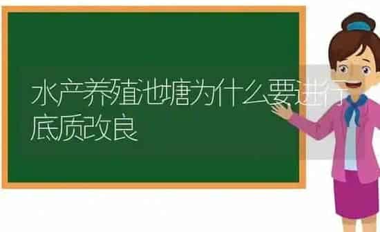 水产养殖池塘为什么要进行底质改良 | 动物养殖百科