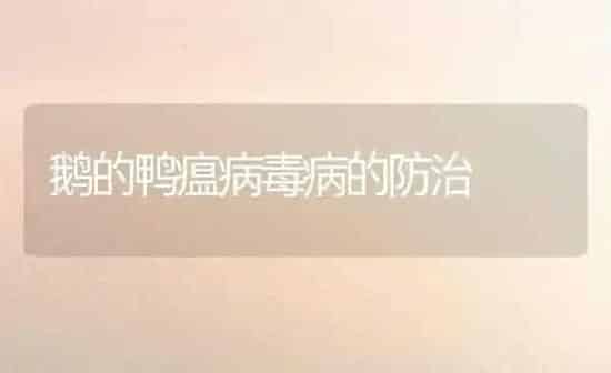 鹅的鸭瘟病毒病的防治 | 家禽养殖