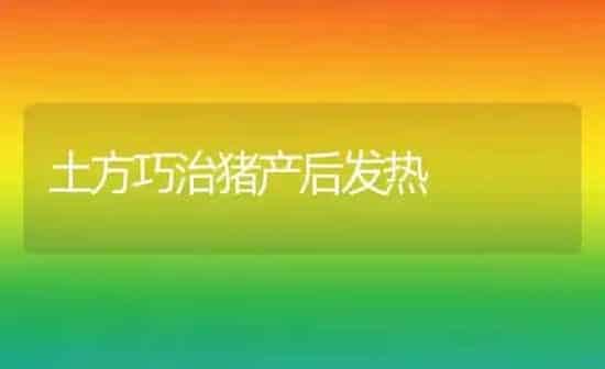 土方巧治猪产后发热 | 家畜养殖