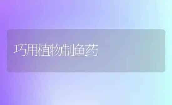 巧用植物制鱼药 | 养殖病虫害防治
