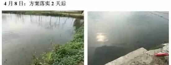 池塘倒藻后用“101+藻源素”快速肥水效果好