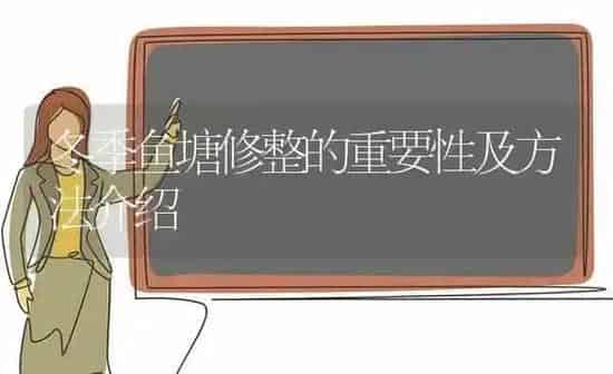 冬季鱼塘修整的重要性及方法介绍 | 动物养殖百科