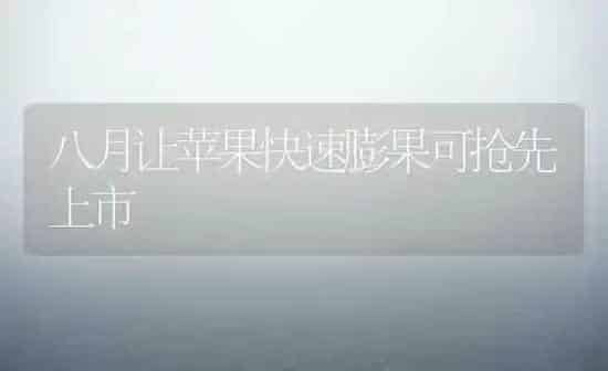 鹅卵黄性腹膜炎的防治 | 家禽养殖