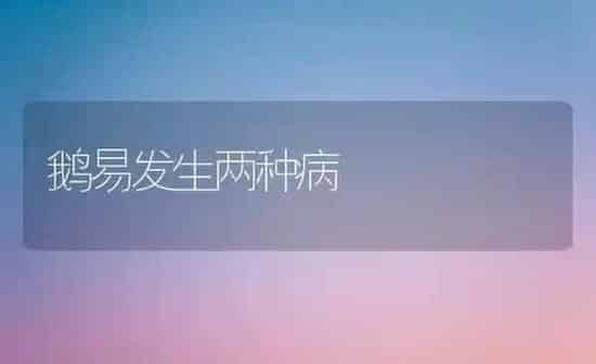 鹅易发生两种病 | 家禽养殖