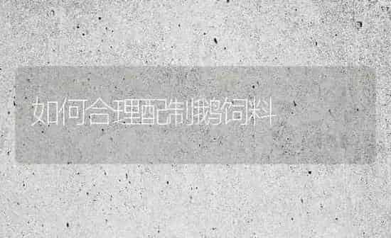 如何合理配制鹅饲料 | 家禽养殖