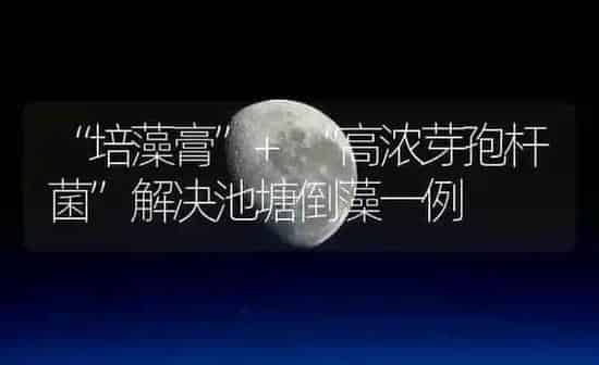 “培藻膏”+“高浓芽孢杆菌”解决池塘倒藻一例 | 动物养殖百科