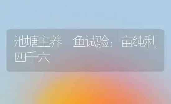 池塘主养鳡鱼试验：亩纯利四千六 | 特种养殖