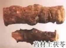土茯苓()