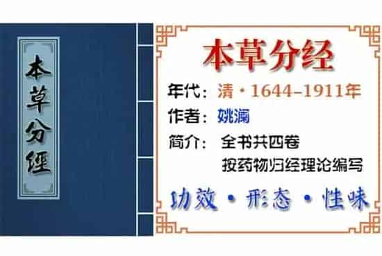 大腹皮 摘自《本草分经》