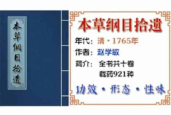 山黄荆 摘自《本草纲目拾遗》
