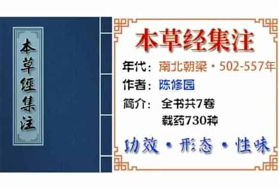 楝实 摘自《本草经集注》