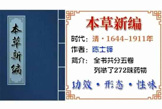 白果 摘自《本草新编》