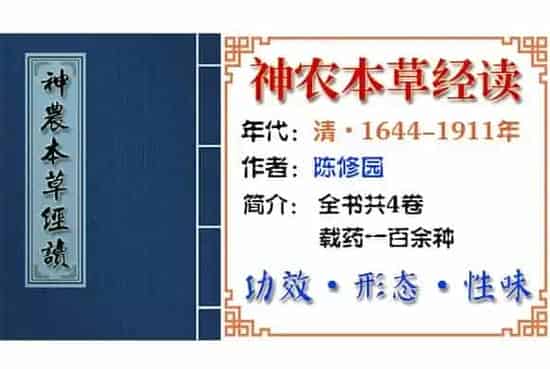 白术 摘自《神农本草经读》
