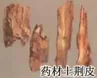 土荆皮()