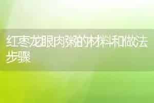 红枣龙眼肉粥的材料和做法步骤