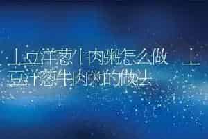 土豆洋葱牛肉粥怎么做 土豆洋葱牛肉粥的做法