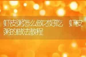 虾皮粥怎么做才好吃 虾皮粥的做法教程