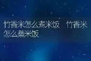 竹香米怎么煮米饭 竹香米怎么蒸米饭
