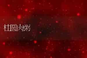 桂圆肉粥