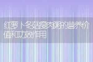 红萝卜冬菇瘦肉粥的营养价值和功效作用