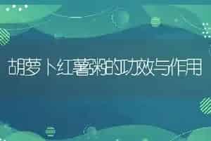 胡萝卜红薯粥的功效与作用