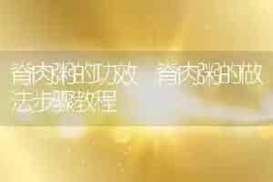 脊肉粥的功效 脊肉粥的做法步骤教程