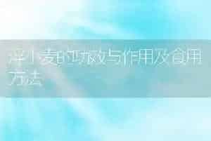 浮小麦的功效与作用及食用方法