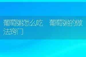 葡萄粥怎么吃 葡萄粥的做法窍门