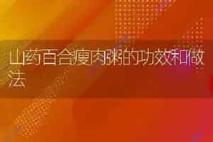 山药百合瘦肉粥的功效和做法