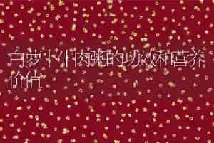白萝卜牛肉粥的功效和营养价值