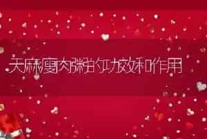 天麻瘦肉粥的功效和作用
