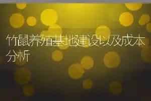 竹鼠养殖基地建设以及成本分析